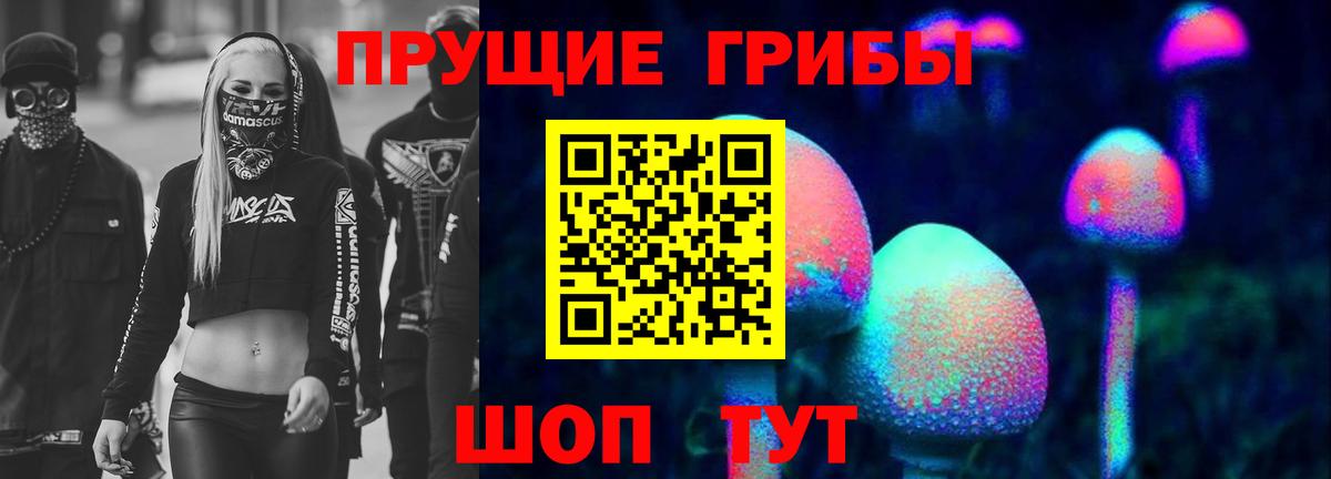 Йошкар-Ола  Псилоцибиновые грибы GOLDEN TEACHER  Галлюциногенные грибы мицелий  Вход с VPN 