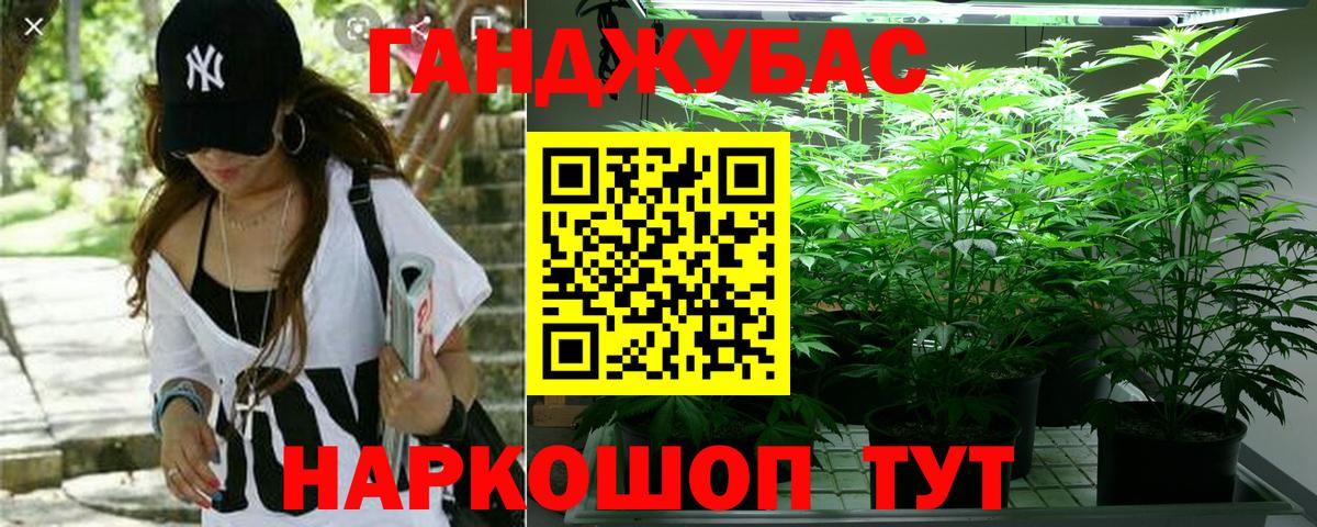 Шишки марихуана семена Йошкар-Ола